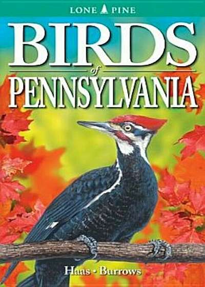 Birds of Pennsylvania, Paperback