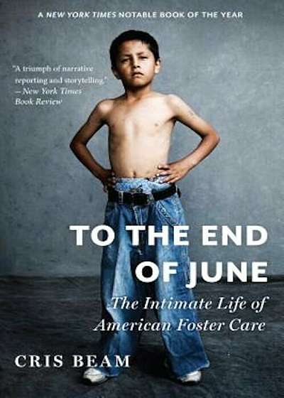 To the End of June: The Intimate Life of American Foster Care, Paperback