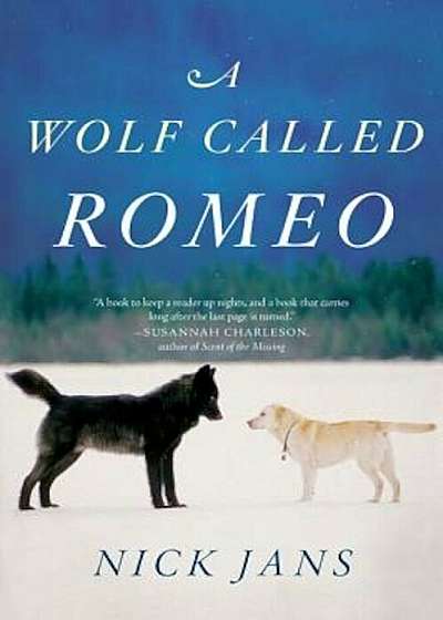 A Wolf Called Romeo, Paperback