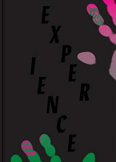 Experience: Culture, Cognition, and the Common Sense, Hardcover