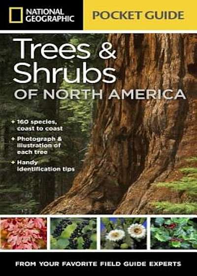 National Geographic Pocket Guide to Trees and Shrubs of North America, Paperback