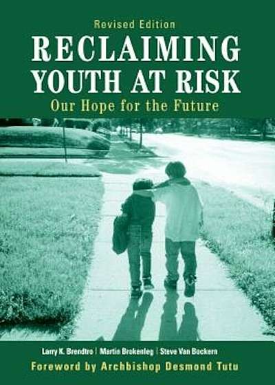 Reclaiming Youth at Risk: Our Hope for the Future, Paperback