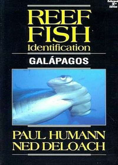 Reef Fish Identification Galapagos, Paperback