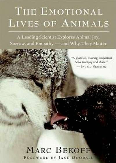 The Emotional Lives of Animals: A Leading Scientist Explores Animal Joy, Sorrow, and Empathy--And Why They Matter, Paperback
