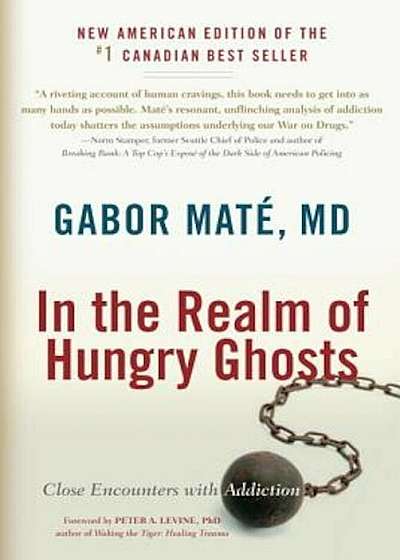 In the Realm of Hungry Ghosts: Close Encounters with Addiction, Paperback