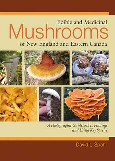 Edible and Medicinal Mushrooms of New England and Eastern Canada, Paperback