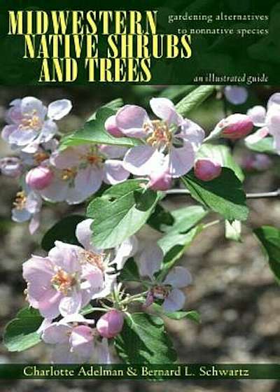 Midwestern Native Shrubs and Trees: Gardening Alternatives to Nonnative Species, Paperback