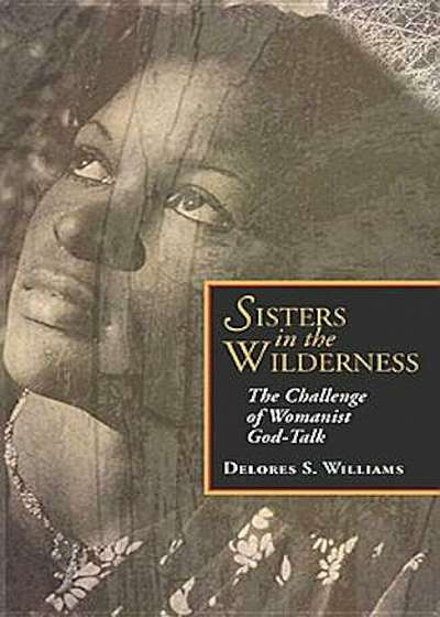 Sisters in the Wilderness: The Challenge of Womanist God-Talk, Paperback