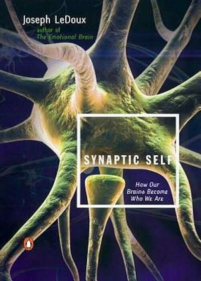Synaptic Self: How Our Brains Become Who We Are, Paperback