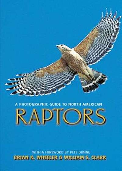 A Photographic Guide to North American Raptors, Paperback