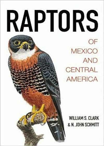 Raptors of Mexico and Central America, Hardcover