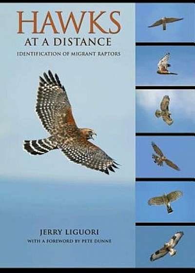 Hawks at a Distance: Identification of Migrant Raptors, Paperback