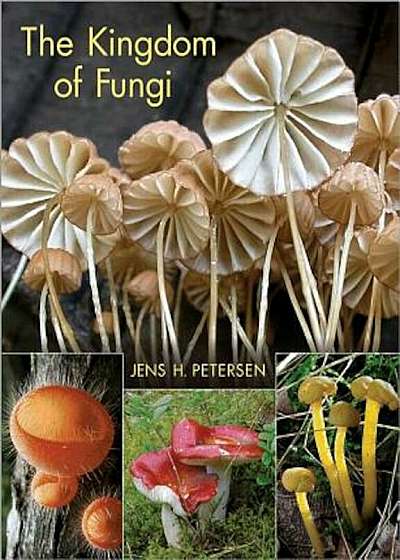 The Kingdom of Fungi, Hardcover