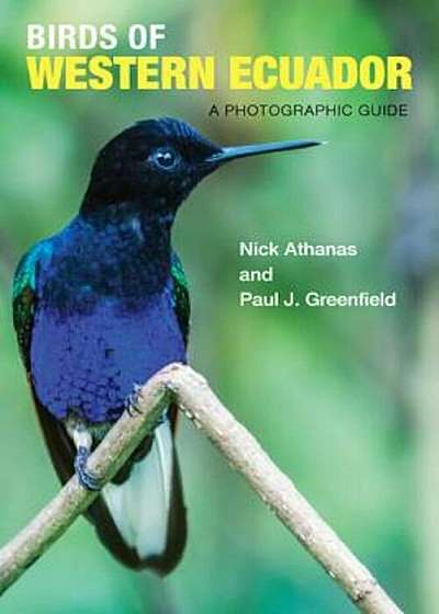 Birds of Western Ecuador: A Photographic Guide, Paperback