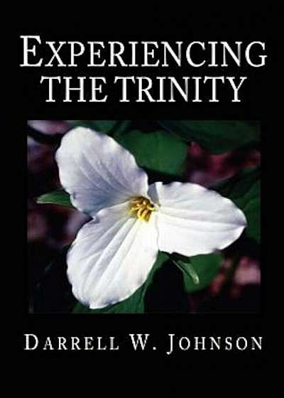Experiencing the Trinity, Paperback