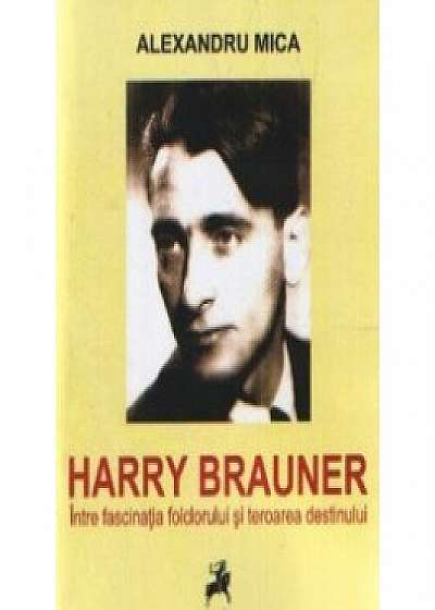 Harry Brauner. Intre fascinatia folclorului si teroarea destinului