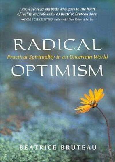 Radical Optimism: Practical Spirituality in an Uncertain World, Paperback
