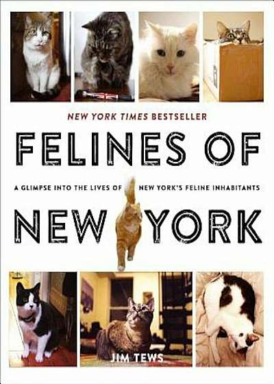 Felines of New York: A Glimpse Into the Lives of New York's Feline Inhabitants, Paperback