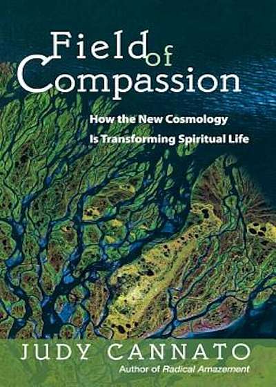 Field of Compassion: How the New Cosmology Is Transforming Spiritual Life, Paperback