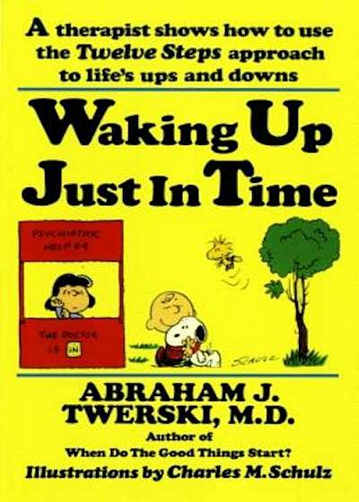 Waking Up Just in Time: A Therapist Shows How to Use the Twelve Steps Approach to Life's Ups and Downs, Paperback