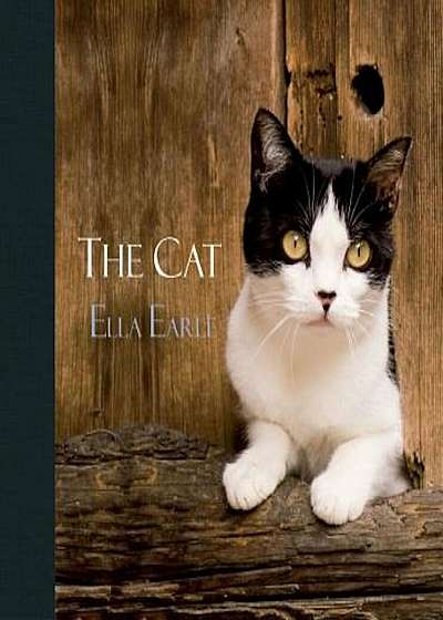 The Cat, Hardcover