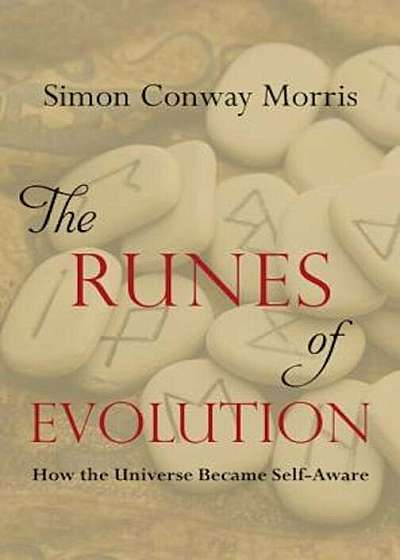 The Runes of Evolution: How the Universe Became Self-Aware, Hardcover