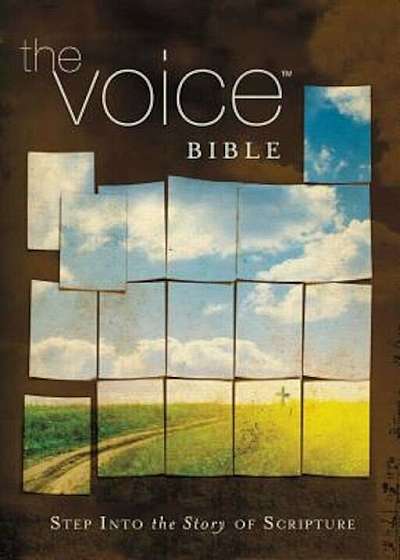 Voice Bible-VC: Step Into the Story of Scripture, Hardcover