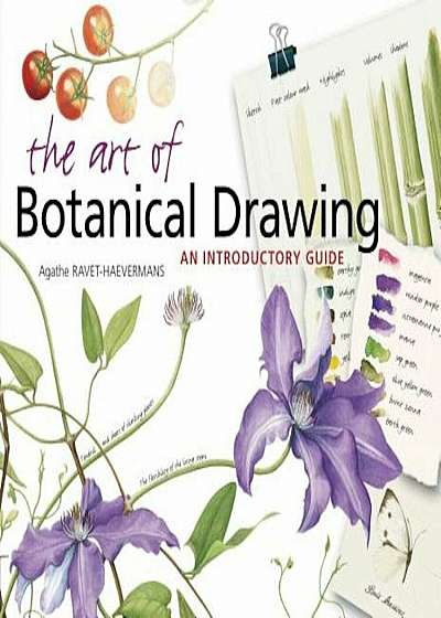 The Art of Botanical Drawing: An Introductory Guide, Paperback