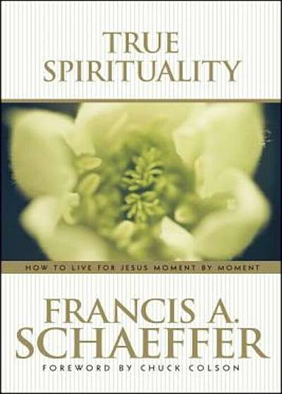 True Spirituality, Paperback