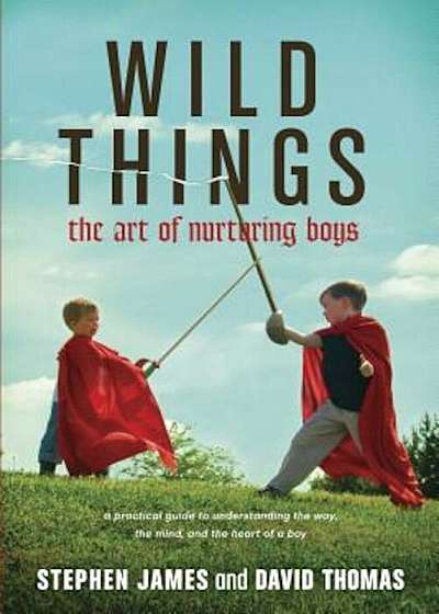Wild Things: The Art of Nurturing Boys, Paperback