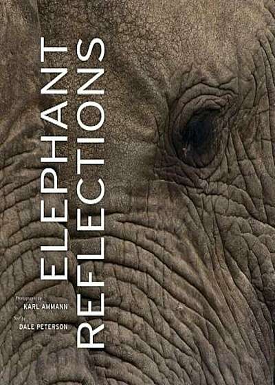 Elephant Reflections, Hardcover