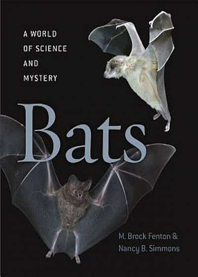Bats: A World of Science and Mystery, Hardcover