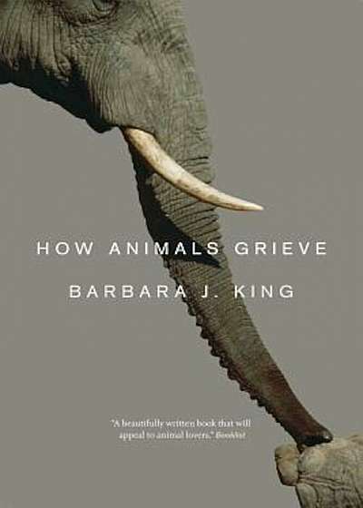 How Animals Grieve, Paperback