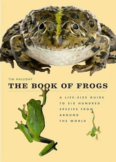 The Book of Frogs: A Life-Size Guide to Six Hundred Species from Around the World, Hardcover