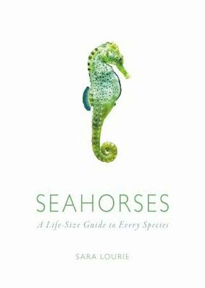 Seahorses: A Life-Size Guide to Every Species, Hardcover