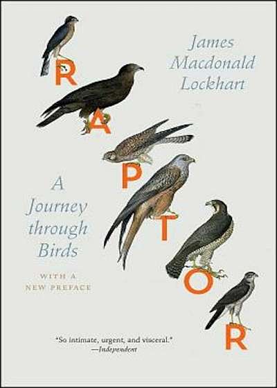 Raptor: A Journey Through Birds, Hardcover
