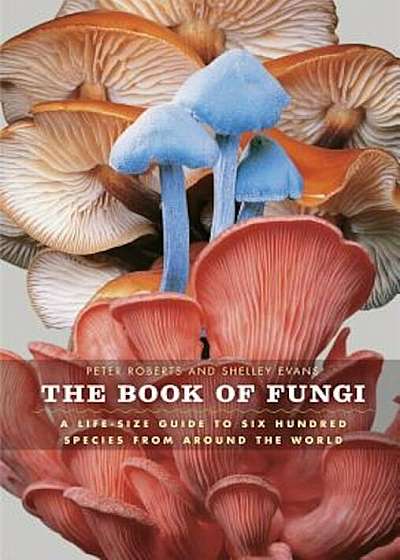 The Book of Fungi: A Life-Size Guide to Six Hundred Species from Around the World, Hardcover
