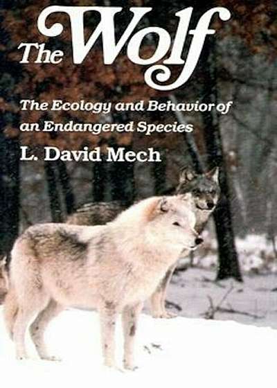 Wolf: The Ecology and Behavior of an Endangered Species, Paperback