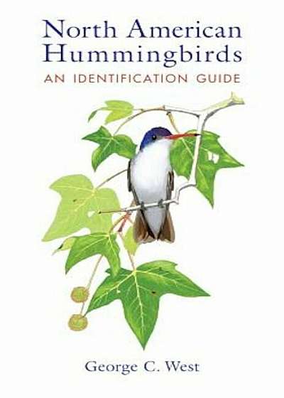 North American Hummingbirds: An Identification Guide, Paperback