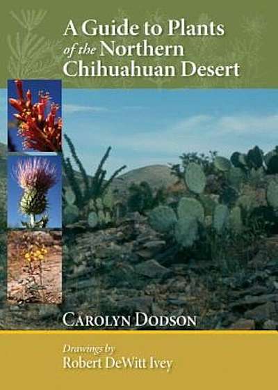 A Guide to Plants of the Northern Chihuahuan Desert, Paperback