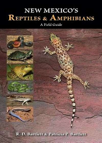 New Mexico's Reptiles and Amphibians: A Field Guide, Paperback