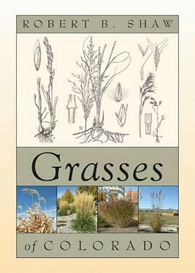 Grasses of Colorado, Paperback