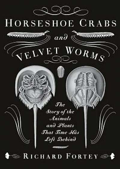 Horseshoe Crabs and Velvet Worms: The Story of the Animals and Plants That Time Has Left Behind, Paperback