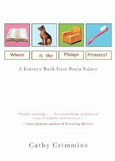 Coperta cărții Where Is the Mango Princess': A Journey Back from Brain Injury, Paperback