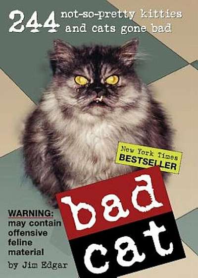 Bad Cat, Paperback