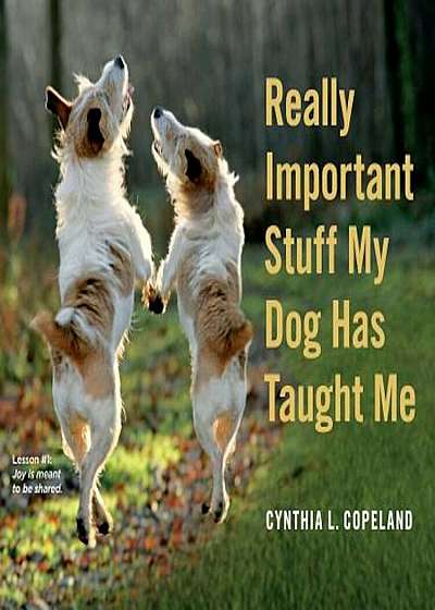 Really Important Stuff My Dog Has Taught Me, Paperback