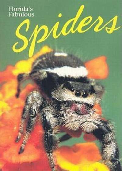 Florida's Fabulous Spiders, Paperback