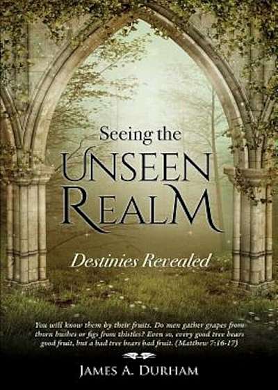 Seeing the Unseen Realm, Paperback