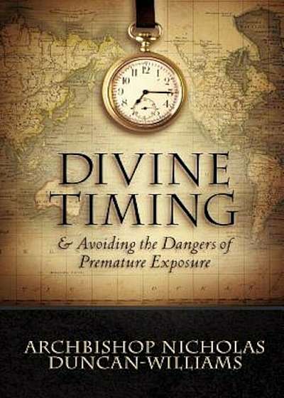 Divine Timing, Paperback