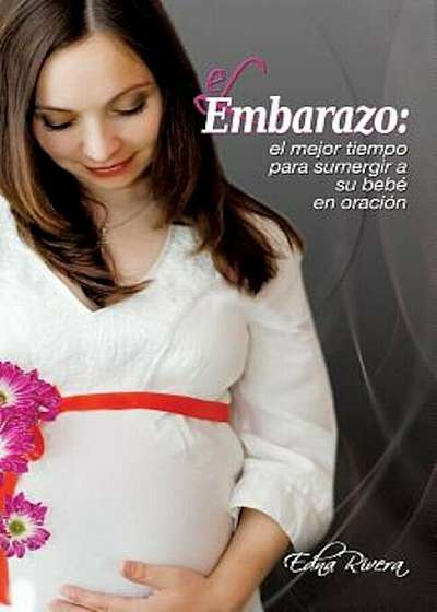 El Embarazo: El Mejor Tiempo Para Sumergir a Su Bebe En Oracion, Paperback